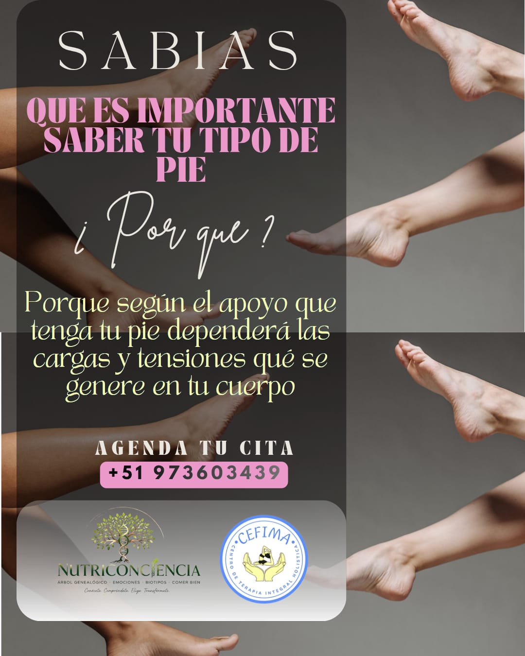 Pies mandíbula y postura