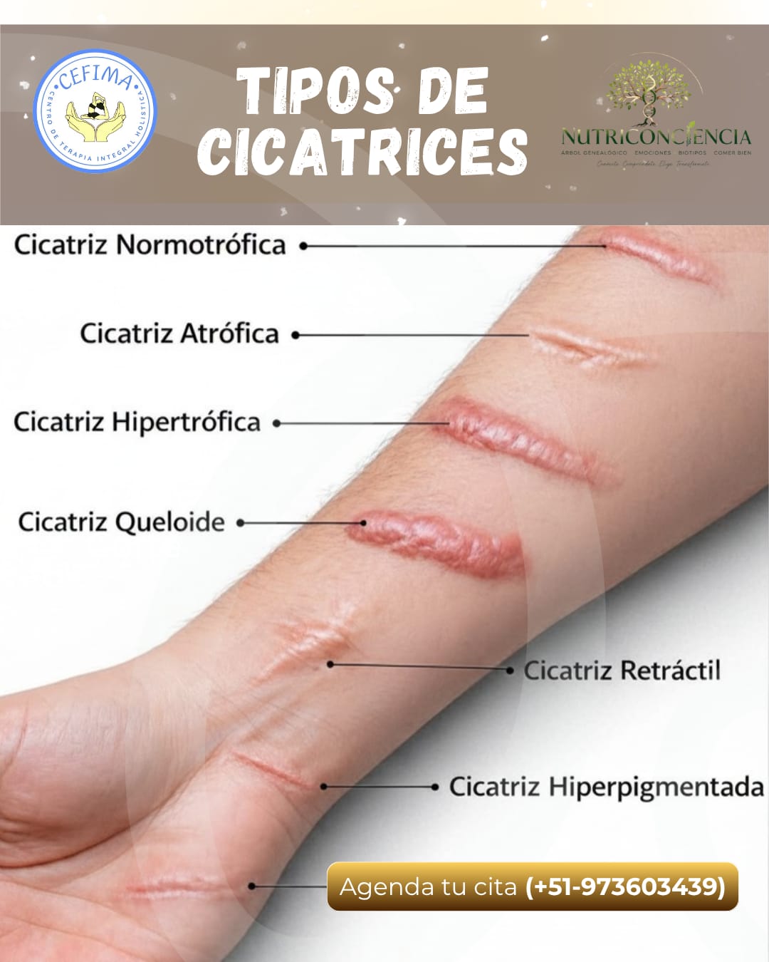 Biodiscodificación